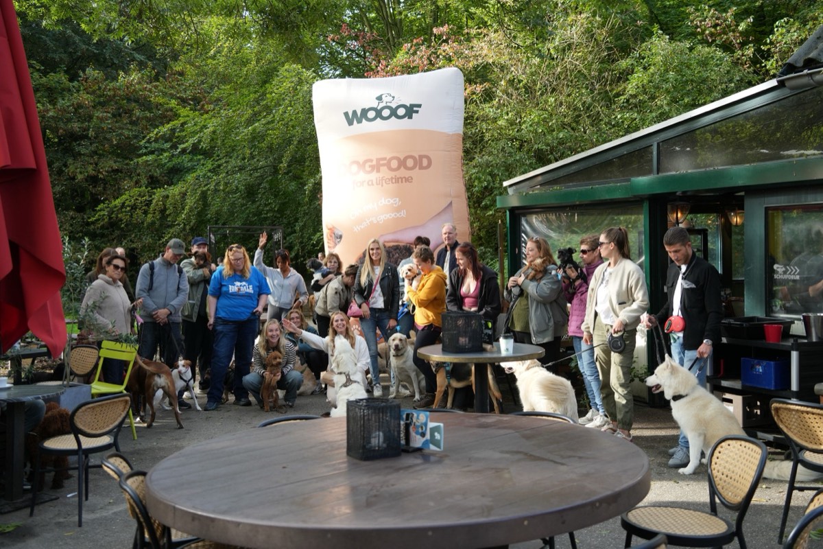 Een ochtend vol kwispelstaarten: terugblik op de Kralingse Kwispel-wandeling